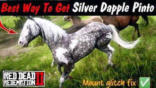 Best And Easiest Way To Acquire Silver Dapple Pinto Missouri Fox Trotter