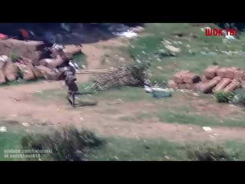 5 დაფიქსირებული უცნაური არსება