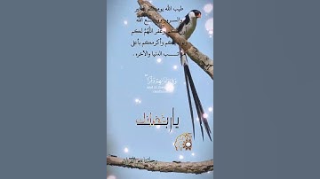 تلاوة خاشعة عطرة مباركة جميلة عذبة للشيخ فارس عباد ماتيسر من سورة الكهف