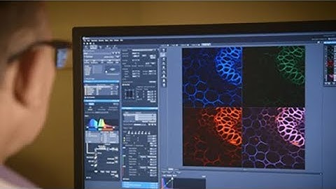 The Center for Bioinformatics and Functional Genomics (Cedars-Sinai)