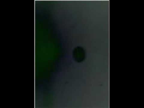 2nd Sun with UFOs ? - YouTube