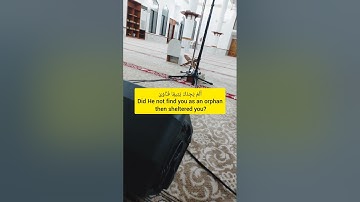 سورة الضحى - محمد زكريا