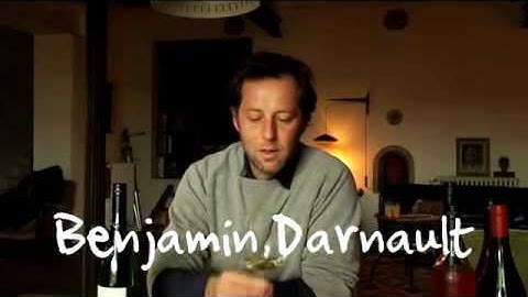 Benjamin Darnault Picpoul de Pinet