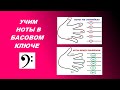 НОТЫ В БАСОВОМ КЛЮЧЕ: как быстро выучить? СУПЕР-способ! Вам поможет... ЛАДОШКА!