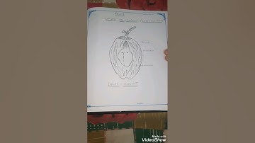 BOTANY RECORD CONTINUATION 2021-2022 TELANGANA 30%DELETED SYLLABUS