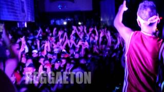 Arka Tardeadas Reapertura