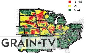 GrainTV - August 1, 2014
