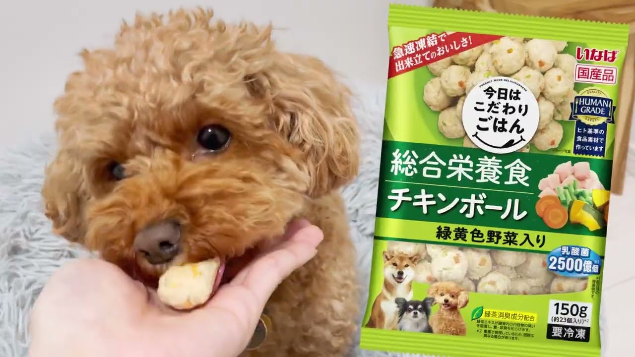 いなば 冷凍ドッグフード テレビCM（いなば食品グループ） - YouTube