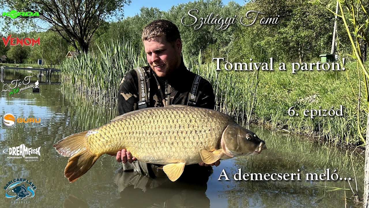 Tomival a parton! 6. epizód - A demecseri meló