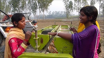 wheat sowing by Zero tillage