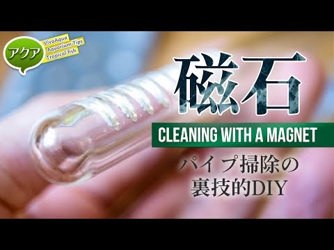 ガラスパイプ掃除の裏技？100均のネオジム磁石で隅々まで綺麗にする #DIY