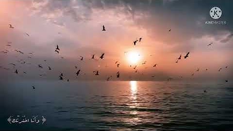 ﴿ وَأَنَا اخْتَرْتُكَ فَاسْتَمِعْ لِمَا يُوحَىٰ﴾ سورة طه آية (13) بصوت احمد خضر🖇💞
