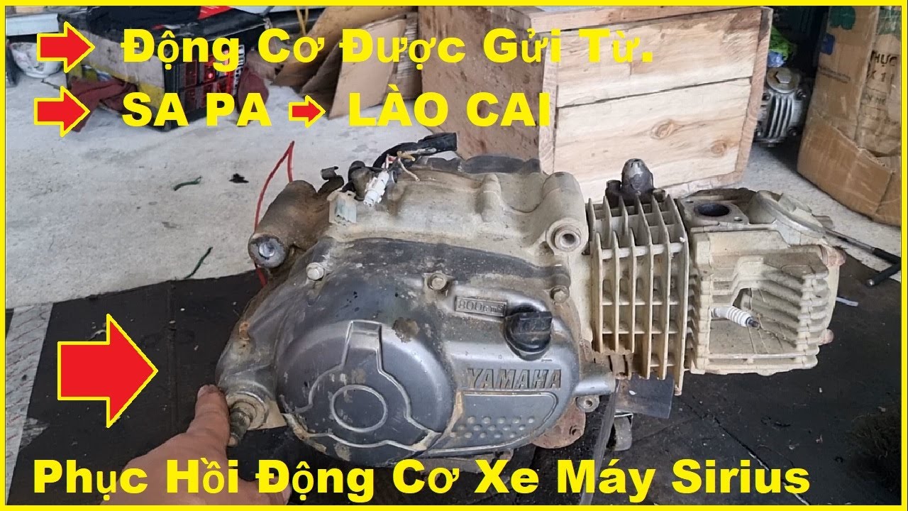 Xe Máy 50cc Sirius Hyosung Chính Hãng Đời 2022  Thế Giới Xe Điện