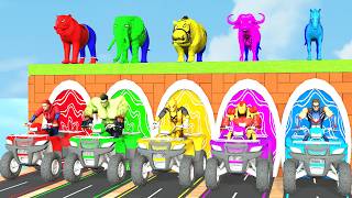 🦁 Wild Animal Kart Racing Madness | سباق الحيوانات البرية المجنون screenshot 3