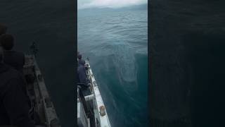 Fishermen Record Massive Unknown Creature Moving Under Boat