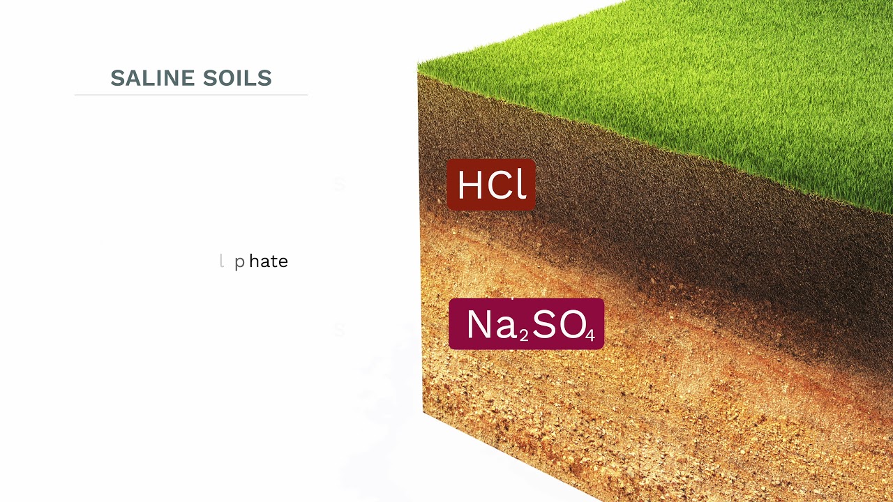 Benefits of elemental sulphur