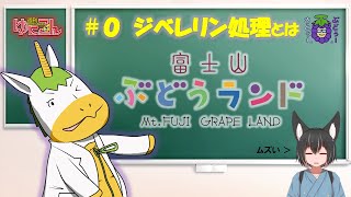 【雑談配信】富士山ぶどうランド × 週刊ゆにこん「#0 ジベレリン処理」【Vtuber / #ゆにこん 】
