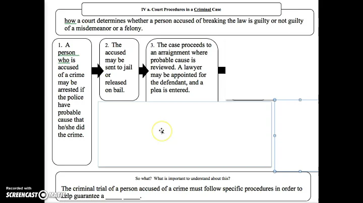 Court Procedures in a Criminal Case