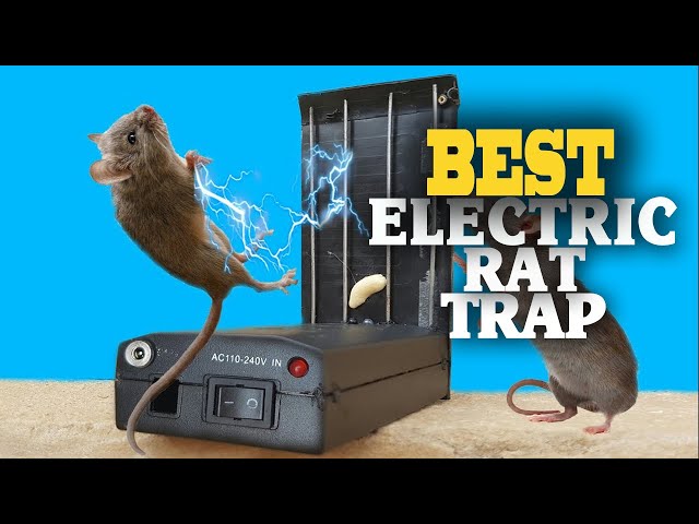 Top 5 Best Electric Rat Traps 2023. 