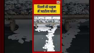 Delhi की Yamuna में जहरीला Foam! #shorts #viralnews #viralshorts #pollutedwater #delhinews
