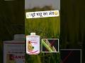 BPMC Fenobucarb 50%: धान में भूरे माहू का समाधान 🌾