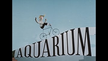 THE PUPPET MASTER: The Complete Jiri Trnka - Trailer