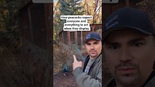 Instead Of Likes, Can I Get Please?