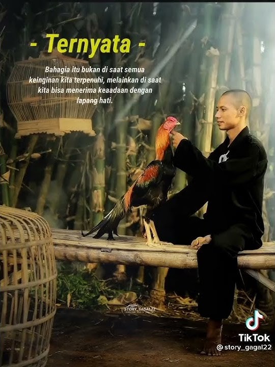 Story'wa PSHT ayam jago || salam persaudaraan setia hati Terate || #viral #shorts