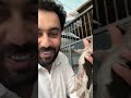 Shitzu Puppies.