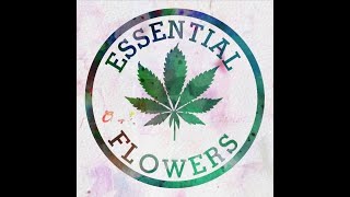 Essential Flowers in Shawnee Oklahoma Growing Some Amazing Flower in this Farm Visit