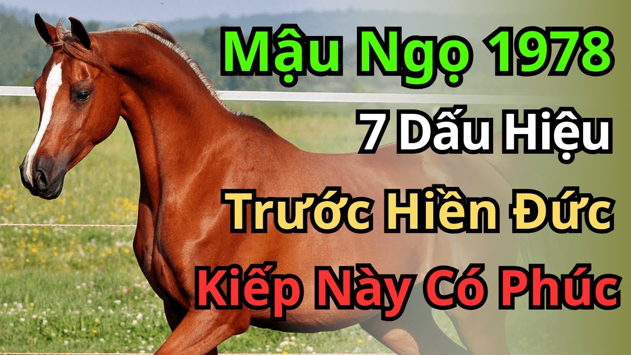Mậu Ngọ 1978: Nếu Có 7 Dấu Hiệu Này, Bạn Chính Là Người Có Căn Tu, Kiếp Này Đến Để Hưởng Lộc Trời!