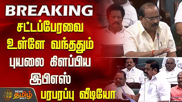 சட்டப்பேரவை உள்ளே வந்ததும் புயலை கிளப்பிய இபிஎஸ் - பரபரப்பு வீடியோ | TN Assembly 2025 | EPS