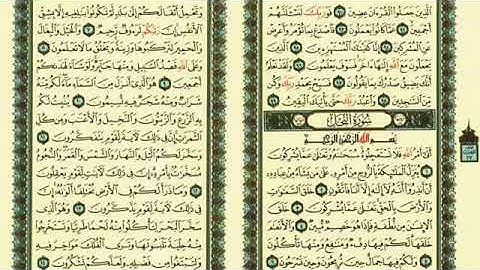سورة النحل بصوت القارئ خالد القحطاني