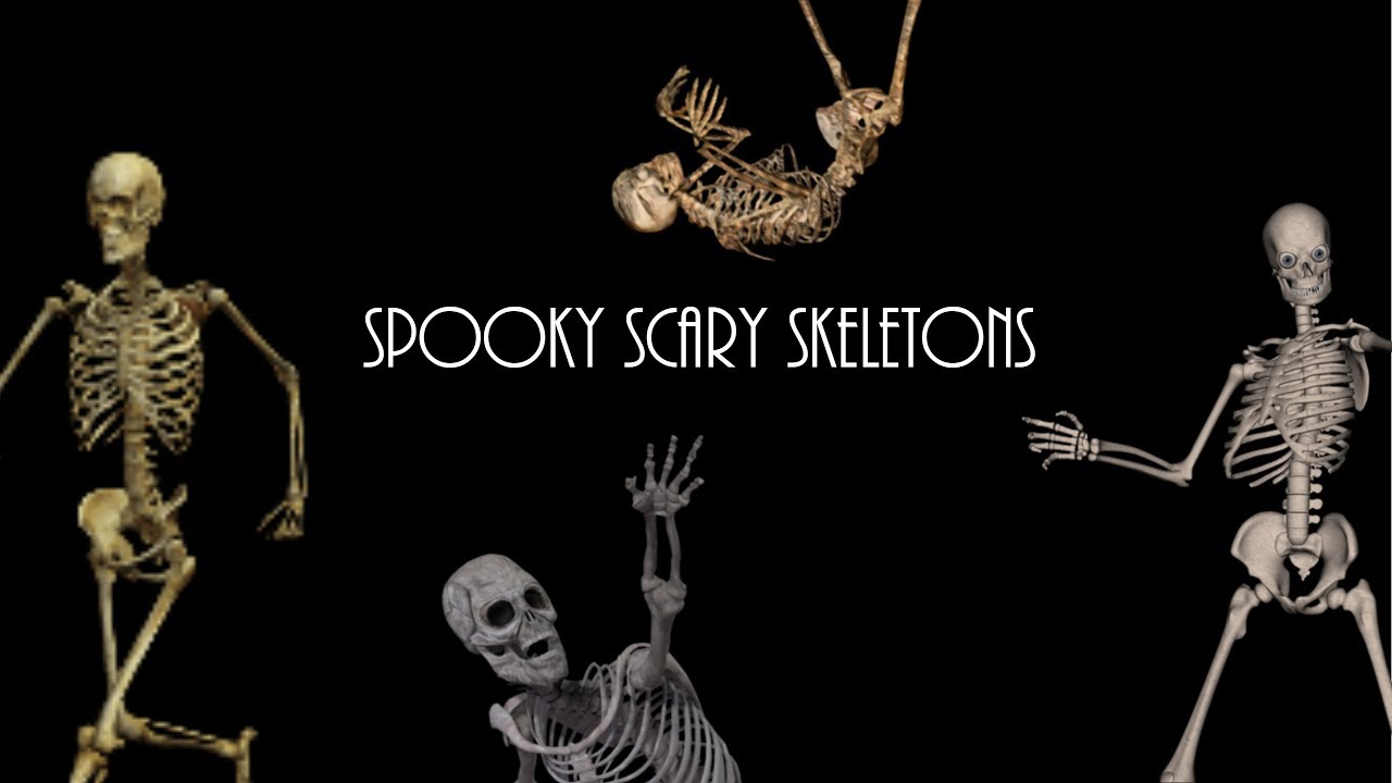 СПУКИ скэри скелетон. СПУКИ скэри скелетон текст. Spooky, Scary Skeletons Эндрю Голд. Spooky Scary Skeletons текст. Scary skeleton текст