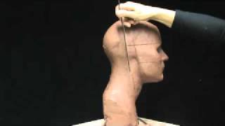 Proportions of the face and head. Sculpting a head in clay. Basic facial proportions.