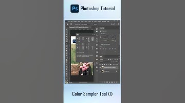 Photoshop – Color Sampler Tool - By Technical Influencer #017