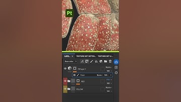 Texturing a Stylized Crab Shell in Substance 3D Painter