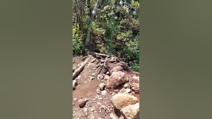 tebing pesawat sukhoi di gunung salak bogor || pajar kencana puncak salak 2 #gunungsalak #sukhoi
