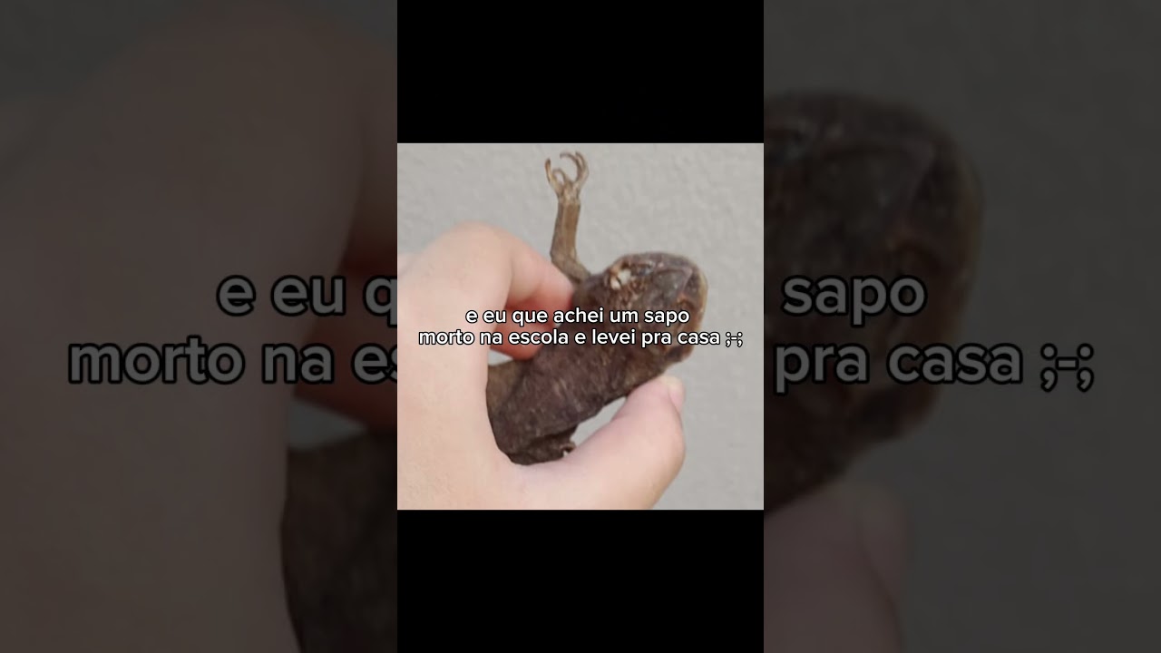 perereca desnutrida #fy