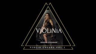 My Way - Violin Cover from ViOLiNiA Zhanna Stelmakh