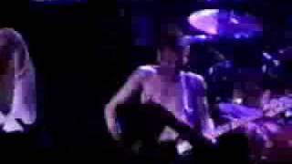 (hed) p.e. - Bartender (live)