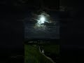 Nature lover beautiful calm climate peaceful sky #shorts #shortvideo