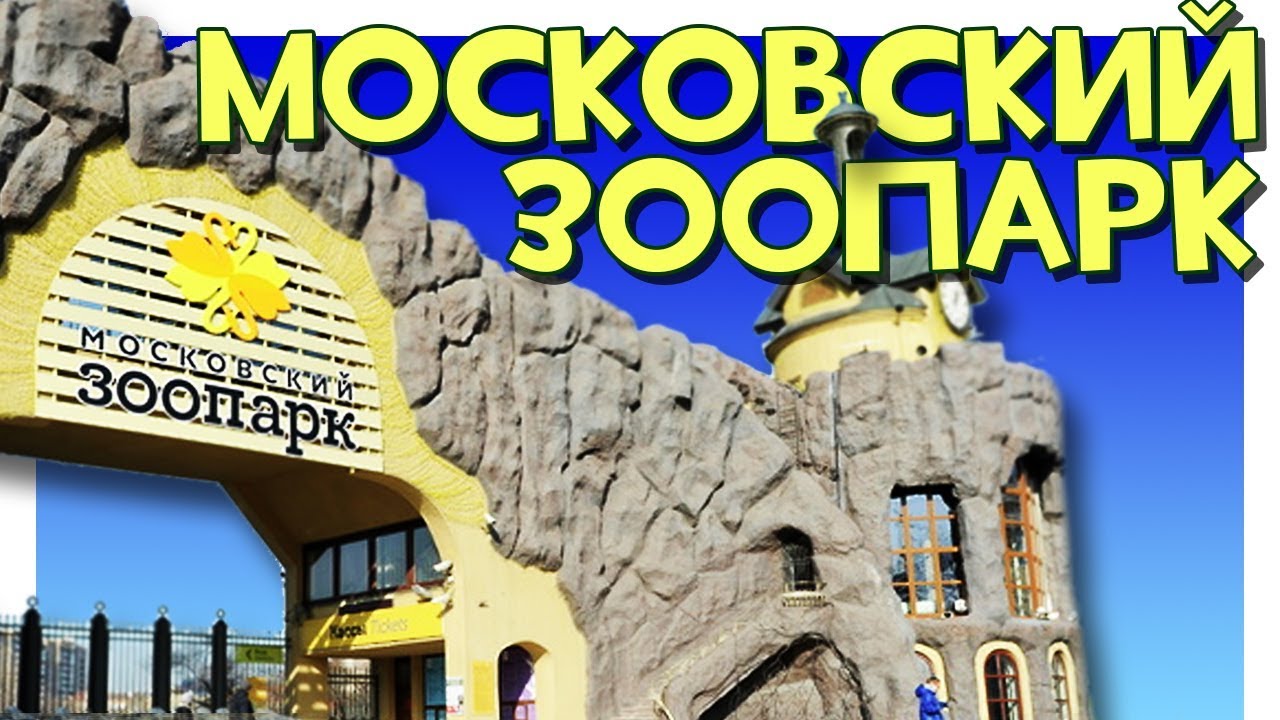 Реферат: Путешествие по Московскому зоопарку