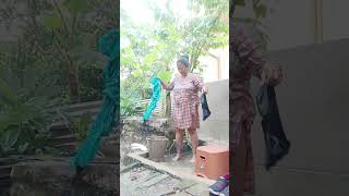 bristita vija gachi san kora nilam#shortvideo #subscribe #shortviral