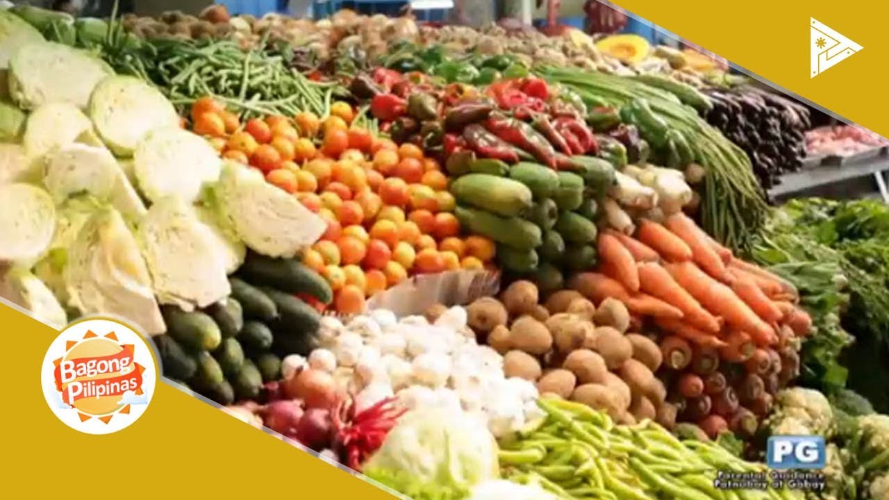 WWW Food Terminal, Inc. YouTube