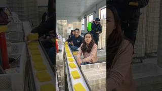 When Hard Work Turns Into Superpower | Soap Packing