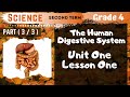 Science | Grade 4 | Unit 1 Lesson 1 - Part 3 - The Digestive Canal Supplementaries