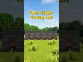 Easy Villager Trading Hall #minecraft #minecraftshorts