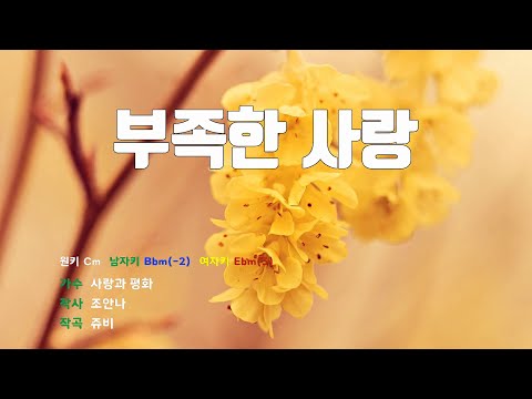 은성 반주기 부족한사랑 사랑과평화