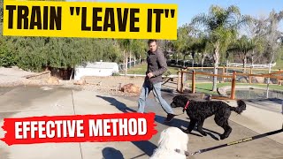 How to train 'leave it'